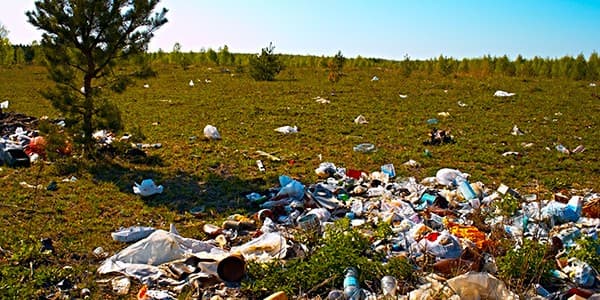 Ecosparkle-Green-Tip---What-does-Biodegradable-Mean