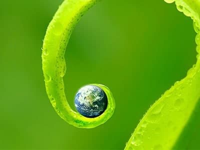 ecosparkle-natural-cleaning-leaf-earth