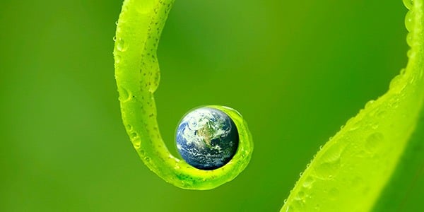 ecosparkle-natural-cleaning-leaf-earth-large