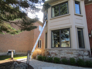 Read more about the article Looking for Eco-Friendly, All-Natural Window Cleaning? Ecosparkle Can Help!