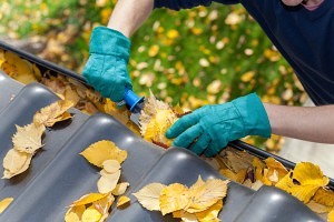 Ecosparkle Gutter Cleaning Service Image